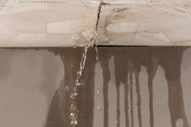 Professional Structural Drying technician working in Dublin, IN